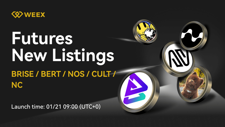Bitgert (BRISE) 現已在 WEEX 上市 - BRISE USDT 交易對所有使用者開放