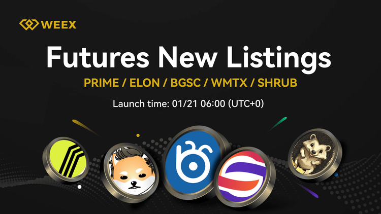 Shrub (SHRUB) 現已在 WEEX 上市 - SHRUB USDT 交易對即時!