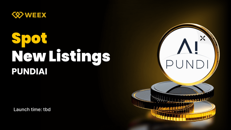 WEEX New Listing- PUNDIAI Will be Listed on WEEX Spot Trading