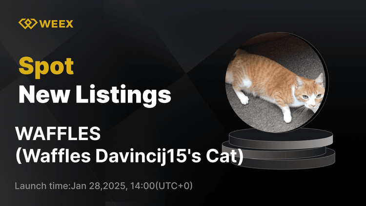 Waffles Davincij15's Cat ($WAFFLES) Nay đã ra mắt trên WEEX Spot