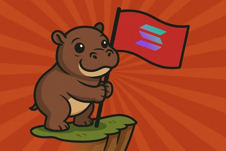 What is Moo Deng Coin? Can Moo Deng Coin Price Hit $1 in 2025?