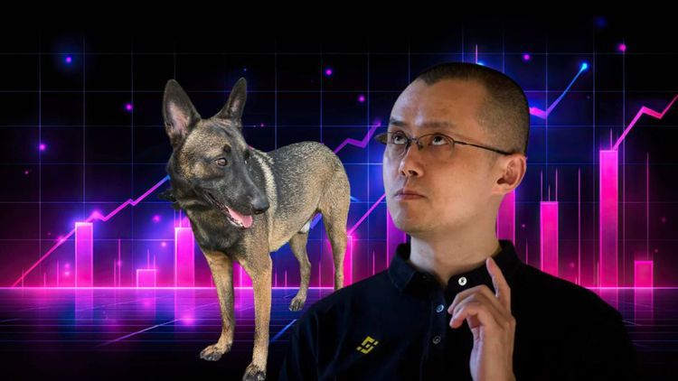 Brokoli Coin Bir Sonraki 100x Meme Coin Olacak mı? CZ Köpek Meme Coin Açıklaması