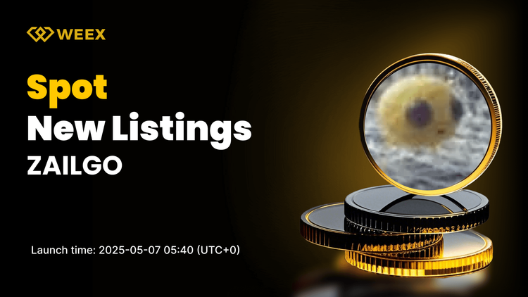ZAILGO Listed on WEEX Spot with ZAILGO USDT Pair Trading Opens