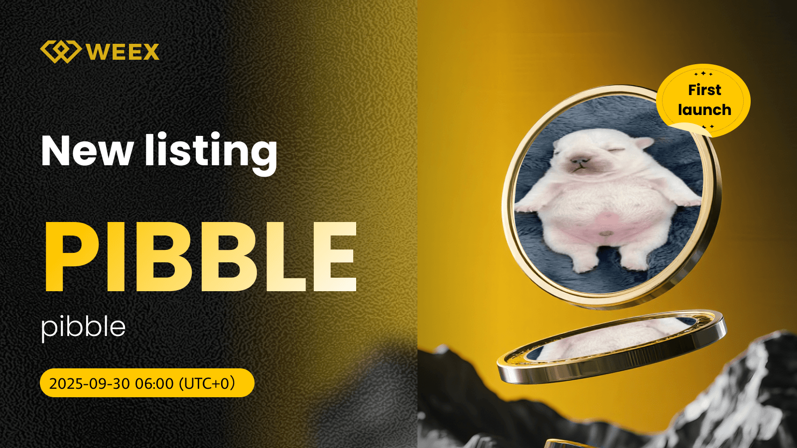 PIBBLE USDT Now Live: WEEX Lists pibble Coin