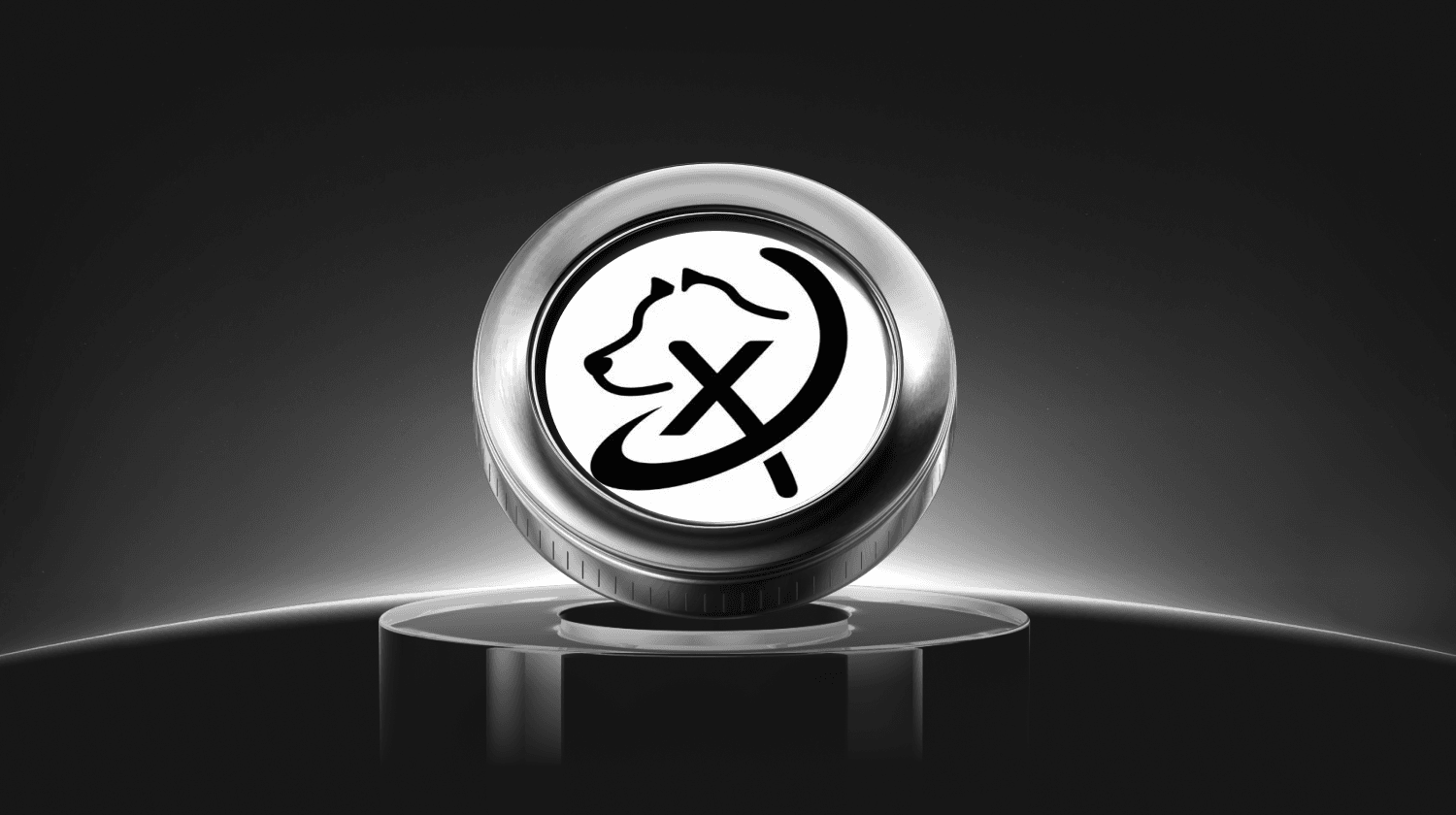 What is XDOG (XDOG) Coin